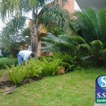 jardinagem-curitiba
