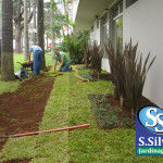 plantacao-de-grama-em-curitiba