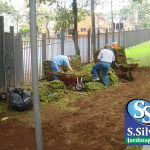 plantio-de-gramado-em-curitiba